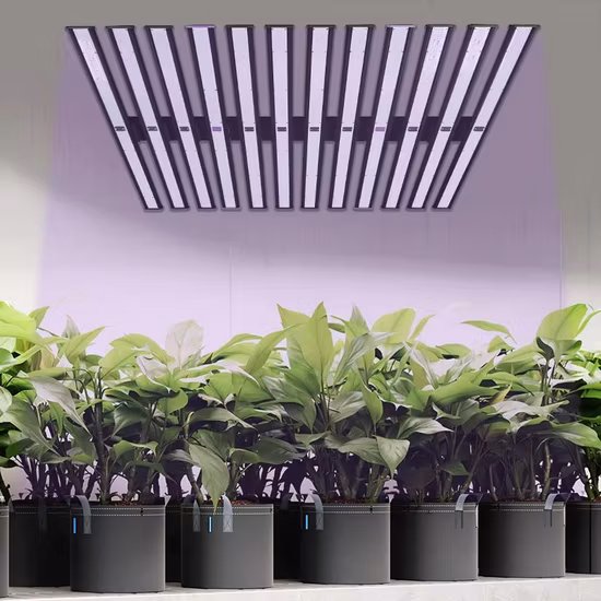 LED Lighting Full Spectrum Indoor Plants Waterproof 680W Foldable Samsung Lm301b Lm301h LED Grow Light for Greenhouse Plant Growth